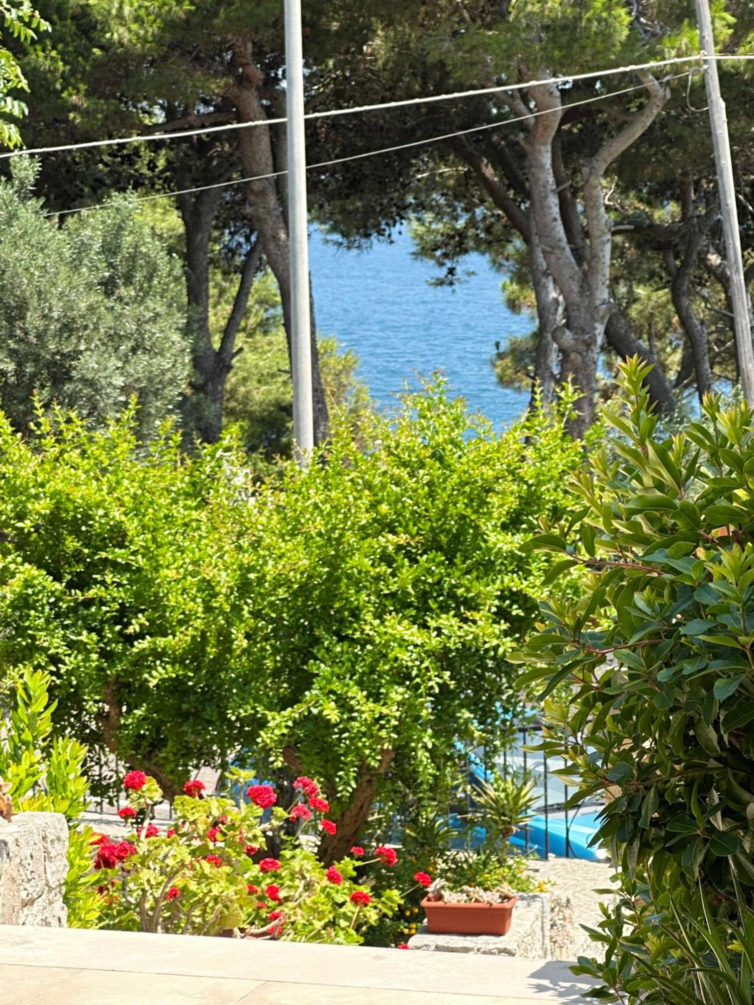 Villetta Dagre Fronte Mare マリッティマ エクステリア 写真